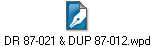 DR 87-021 & DUP 87-012.wpd