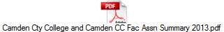 Camden Cty College and Camden CC Fac Assn Summary 2013.pdf