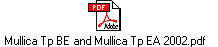 Mullica Tp BE and Mullica Tp EA 2002.pdf