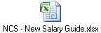 NCS - New Salary Guide.xlsx