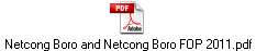 Netcong Boro and Netcong Boro FOP 2011.pdf
