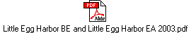 Little Egg Harbor BE and Little Egg Harbor EA 2003.pdf