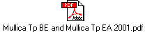 Mullica Tp BE and Mullica Tp EA 2001.pdf