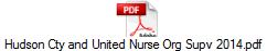 Hudson Cty and United Nurse Org Supv 2014.pdf