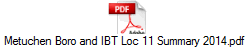Metuchen Boro and IBT Loc 11 Summary 2014.pdf
