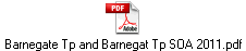 Barnegate Tp and Barnegat Tp SOA 2011.pdf