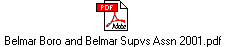 Belmar Boro and Belmar Supvs Assn 2001.pdf