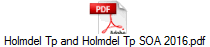 Holmdel Tp and Holmdel Tp SOA 2016.pdf