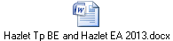 Hazlet Tp BE and Hazlet EA 2013.docx