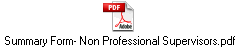 Summary Form- Non Professional Supervisors.pdf
